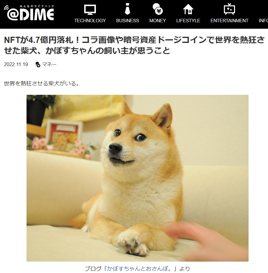 柴犬（かぼすちゃん）の写真（約4億円）で落札